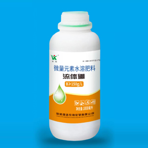 流體硼